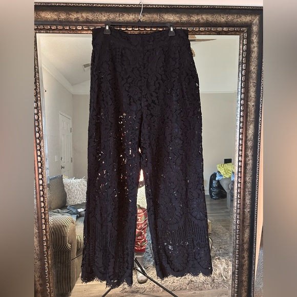Fashion to Figure Pants - Fashion To Figure Elegant Black Lace Pants
